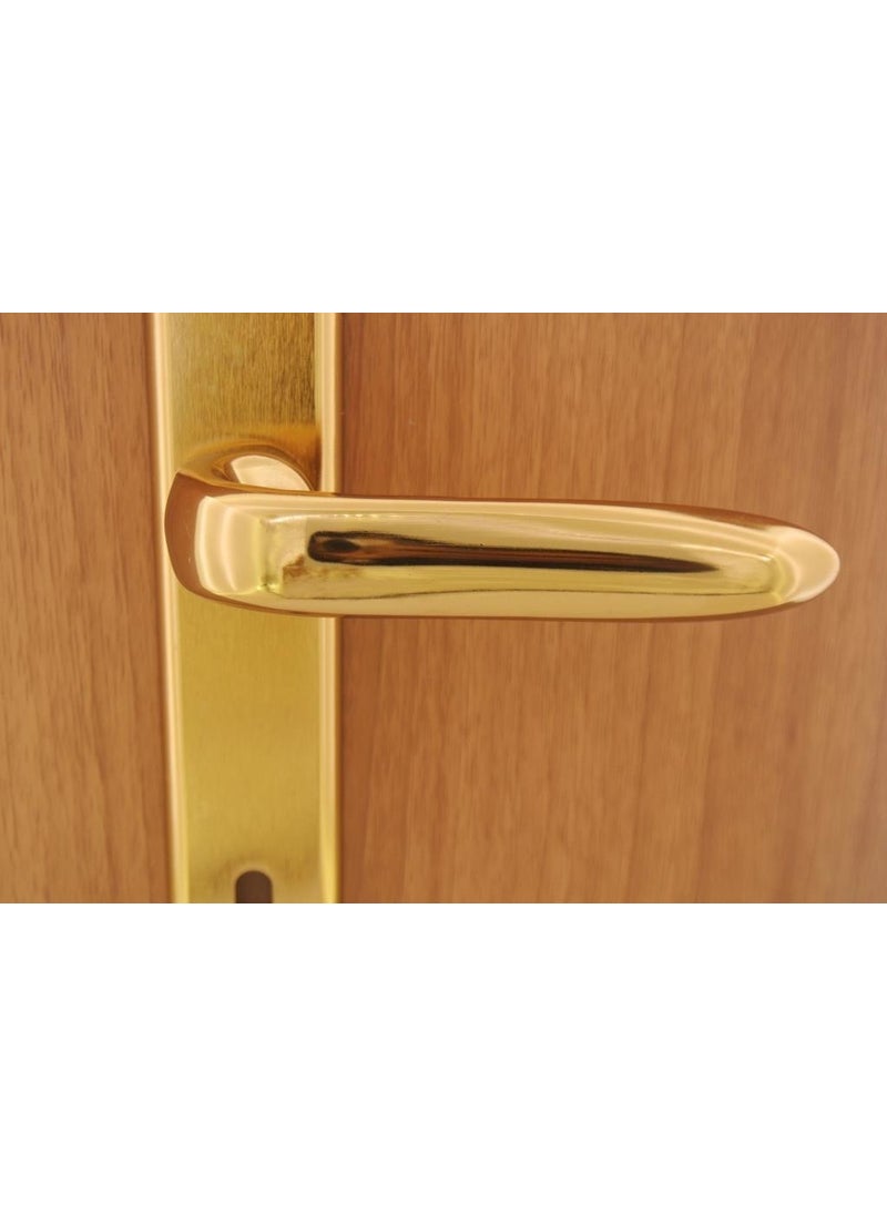Oslo Albifirin Mirrored Door Handle WC (Left)  - Image 3