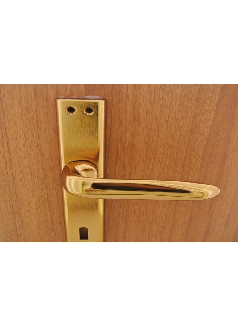 Oslo Albifirin Mirrored Door Handle WC (Left)  - Image 2