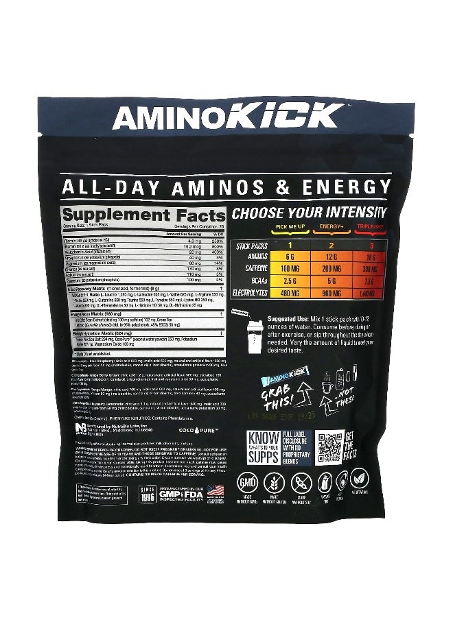 NutraBio NutraBio, Amino Kick, Variety Pack, 20 Sticks, 0.32 oz (9 g) Each  - Image 2
