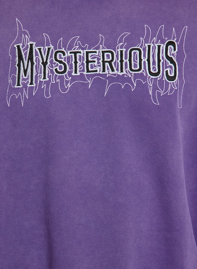 trendyol Oversize/Wide Cut Embroidered Vintage/Faded Effect Crew Neck Sweatshirt - Image 4