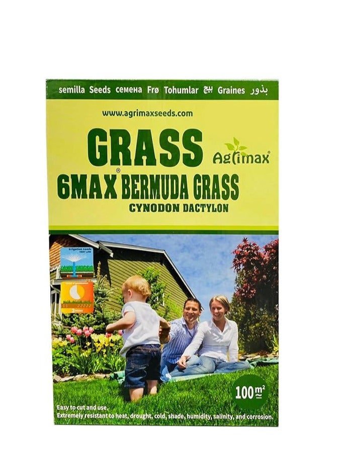 Bermuda Grass 6Max Seeds “Cynodon Dactylon” 1kg By "Agrimaxgroup"