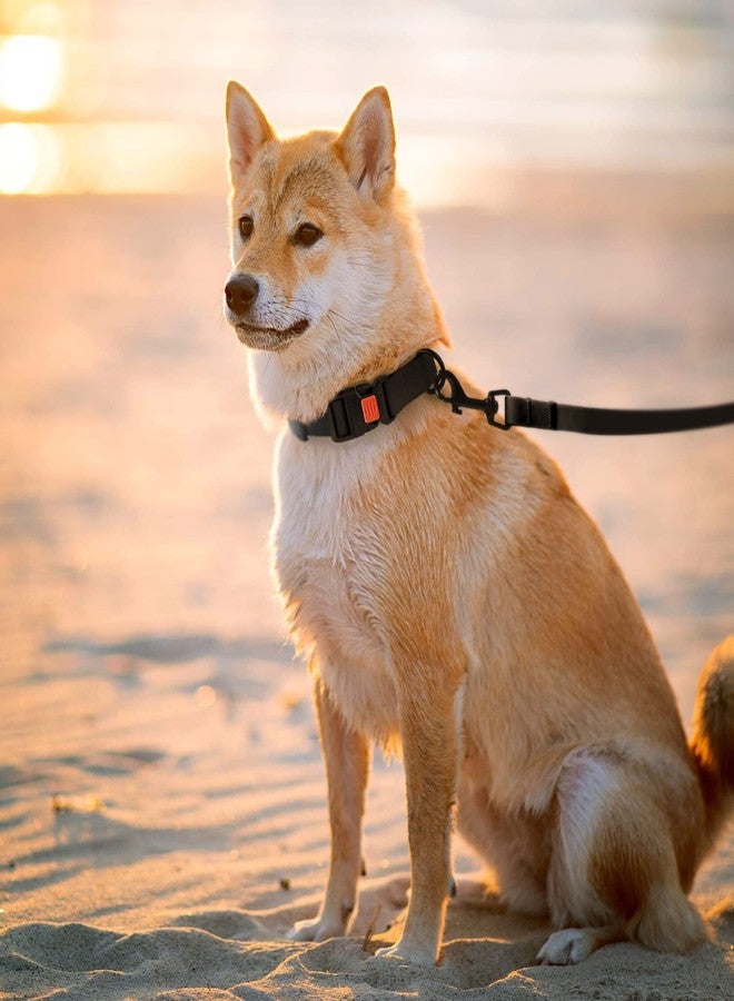 CollarDirect Waterproof Dog Leash Small Medium Large Durable Pet Leashes for Walking Training Running Pink Black Blue Orange Green (L, Black) - Image 5