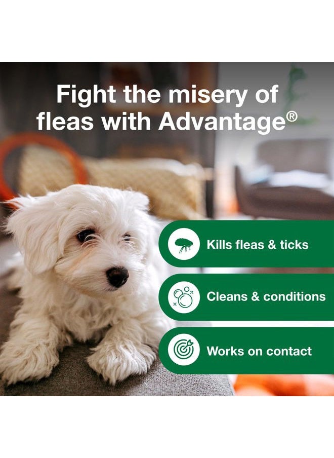 Advantage Dog Flea & Tick Shampoo for Puppies & Adult Dogs | Kills Fleas & Ticks | 8 oz.  - Image 5