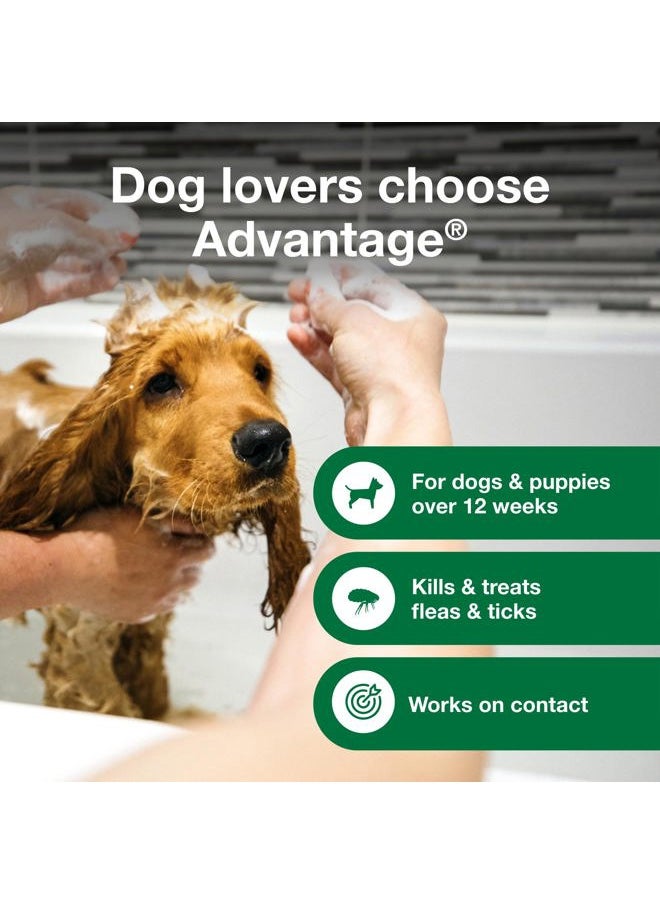 Advantage Dog Flea & Tick Shampoo for Puppies & Adult Dogs | Kills Fleas & Ticks | 8 oz.  - Image 3