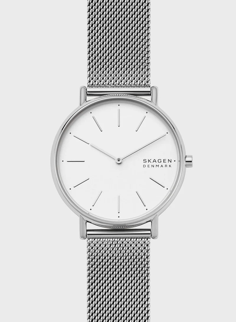 Skagen Mesh Strap Analog Watch