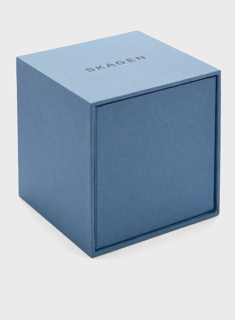 Skagen Mesh Strap Analog Watch