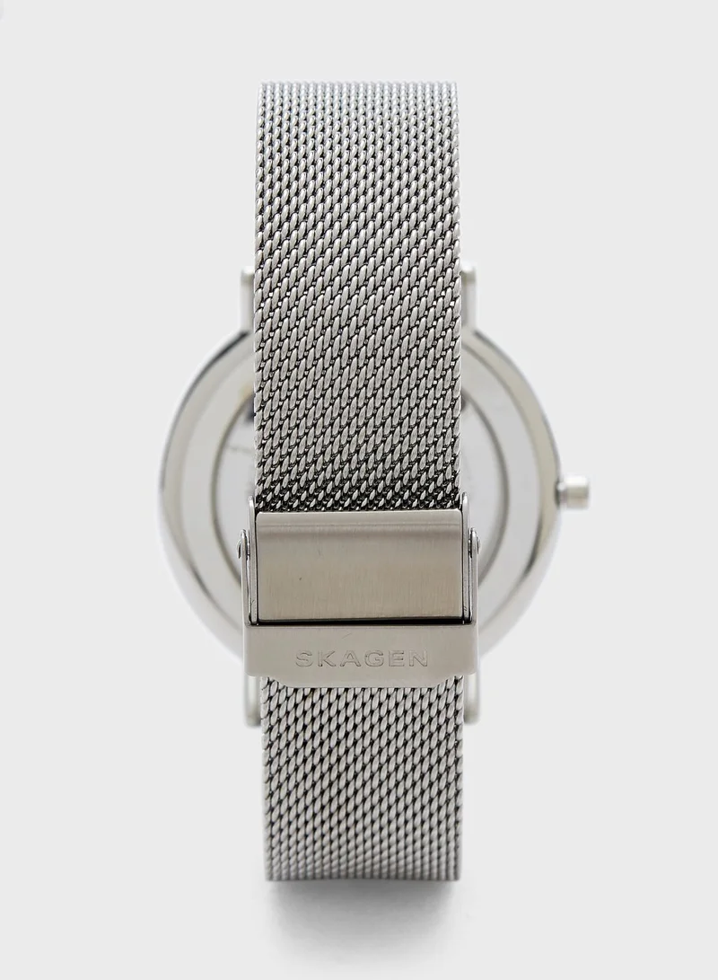 Skagen Mesh Strap Analog Watch