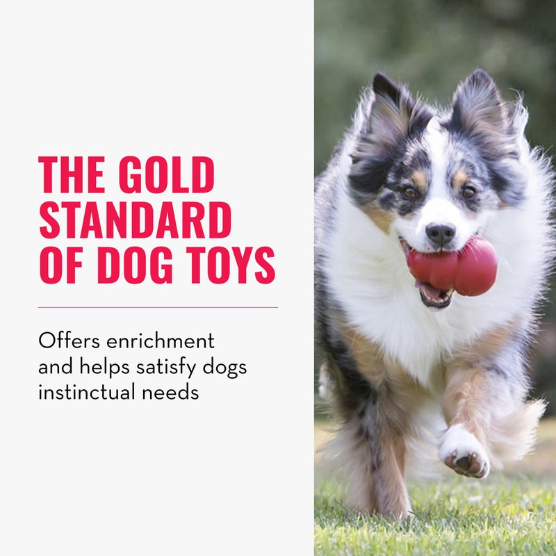 KONG Classic Stuffable Dog Toy - Fetch & Chew Toy for Dogs - Treat-Filling Capabilities & Erratic Bounce for Extended Play Time - Durable Natural Rubber Material - for Large Dogs (Pack of 2) - Image 2