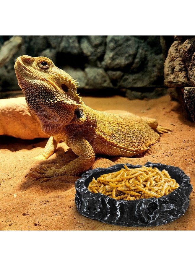 Frcctre 4 Pack Reptile Food Dish Bowl, Reptile Feeding Dish Water Bowl, Amphibian Reptile Breadworm Feeding Terrarium Bowl for Leopard Gecko Lizard Tortoise Frog Bearded Dragon Chameleon - Image 5