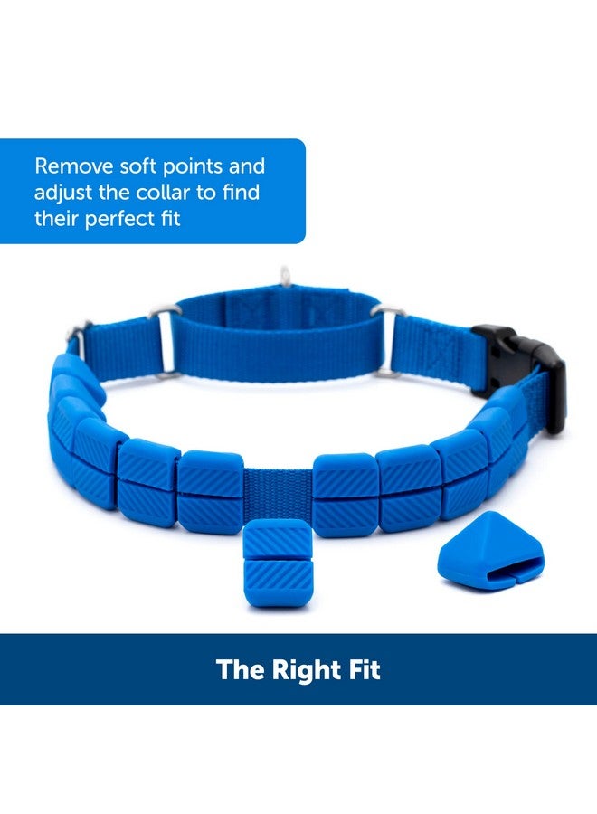 بيت سيف طوق تدريب PetSafe Soft Point - يساعد على إيقاف السحب - أكثر أمانًا من أطواق الشوكات أو الخنق - يعلم آداب المقود بشكل أفضل - طوق تدريب بدون سحب مع نقاط مطاطية للكلاب - كبير، أزرق - Image 4