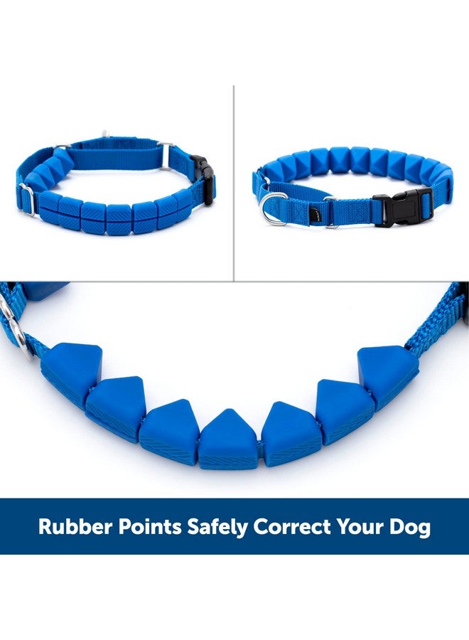 بيت سيف طوق تدريب PetSafe Soft Point - يساعد على إيقاف السحب - أكثر أمانًا من أطواق الشوكات أو الخنق - يعلم آداب المقود بشكل أفضل - طوق تدريب بدون سحب مع نقاط مطاطية للكلاب - كبير، أزرق - Image 3