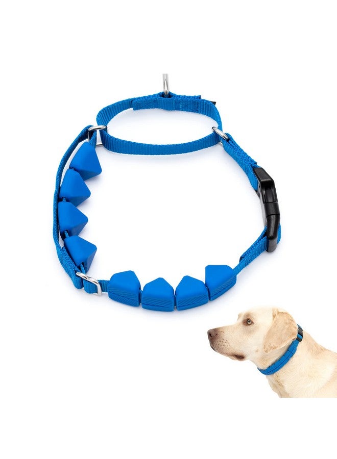 بيت سيف طوق تدريب PetSafe Soft Point - يساعد على إيقاف السحب - أكثر أمانًا من أطواق الشوكات أو الخنق - يعلم آداب المقود بشكل أفضل - طوق تدريب بدون سحب مع نقاط مطاطية للكلاب - كبير، أزرق - Image 1