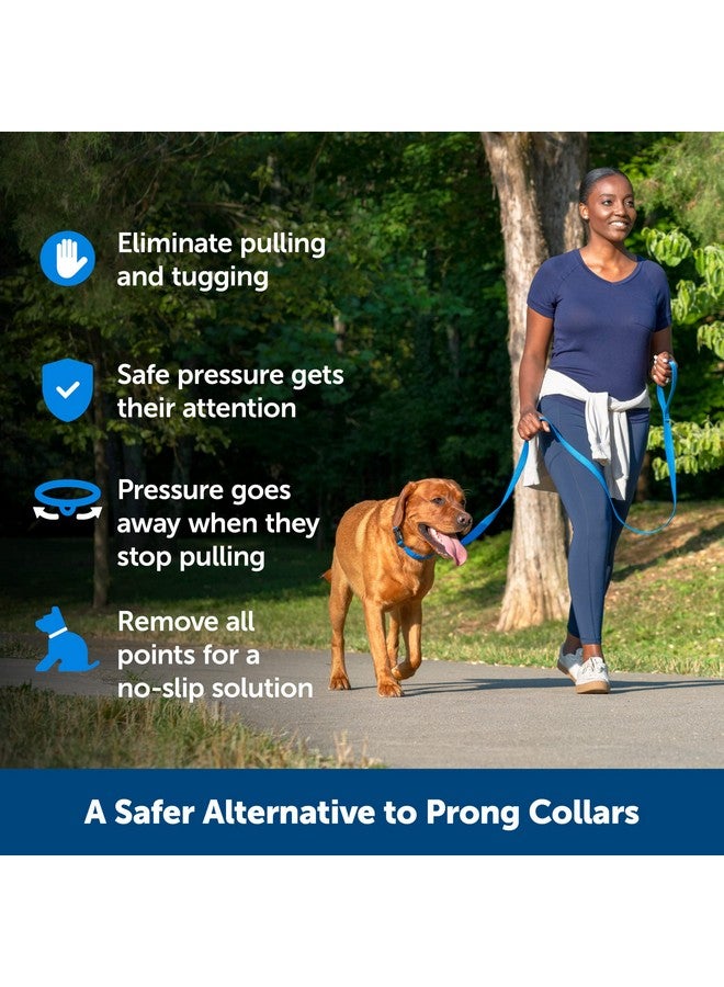 بيت سيف طوق تدريب PetSafe Soft Point - يساعد على إيقاف السحب - أكثر أمانًا من أطواق الشوكات أو الخنق - يعلم آداب المقود بشكل أفضل - طوق تدريب بدون سحب مع نقاط مطاطية للكلاب - كبير، أزرق - Image 2