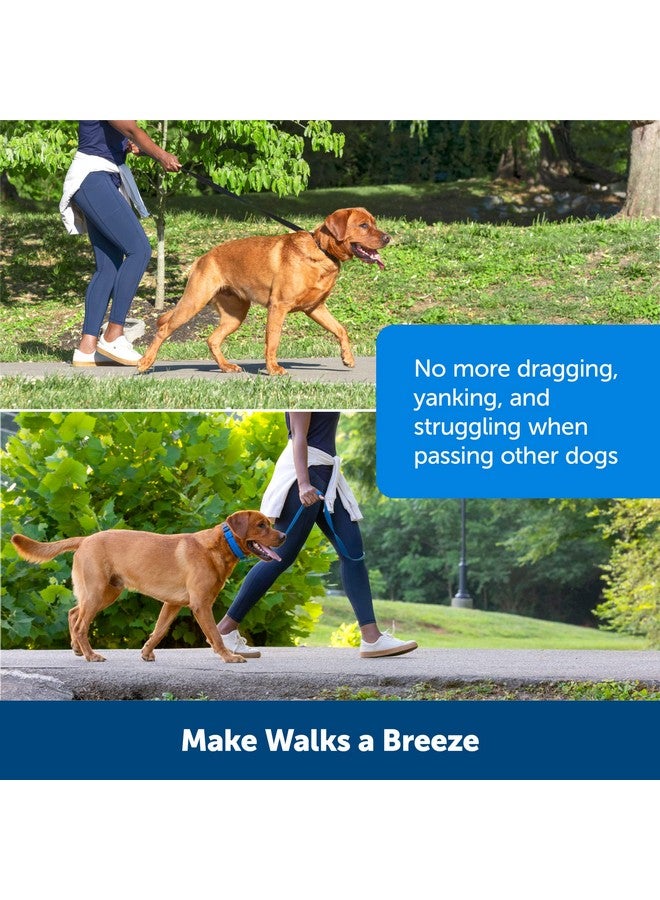 بيت سيف طوق تدريب PetSafe Soft Point - يساعد على إيقاف السحب - أكثر أمانًا من أطواق الشوكات أو الخنق - يعلم آداب المقود بشكل أفضل - طوق تدريب بدون سحب مع نقاط مطاطية للكلاب - كبير، أزرق - Image 5