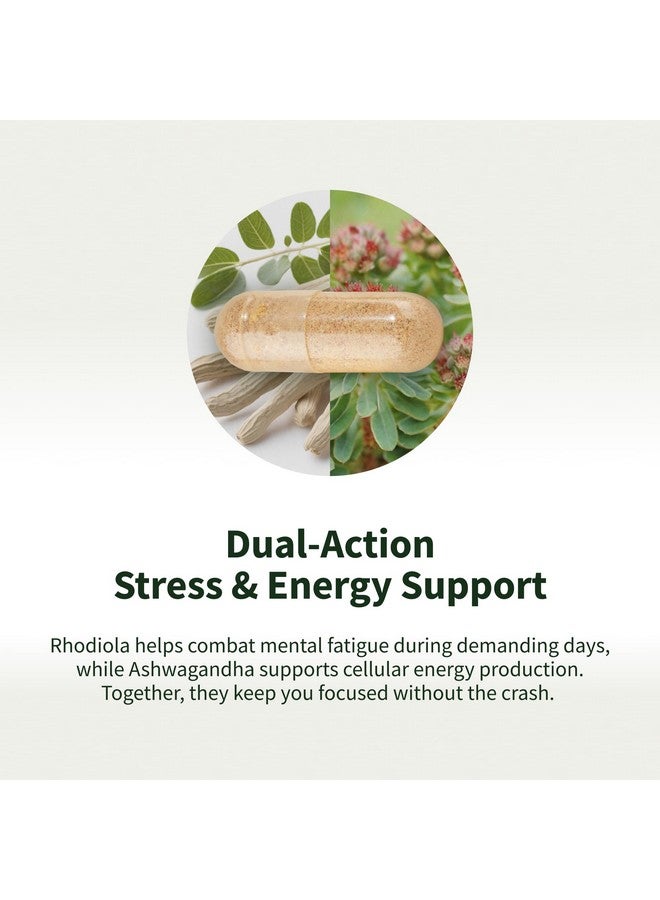 SNAP SUPPLEMENTS Metabolism and Natural Energy Supplements for Fatigue, Stress Relief, Energy Booster & Better Mood, Energy Pills for Women & Men, Ginger, Turmeric, Rhodiola Rosea, 60 Capsules - Image 3