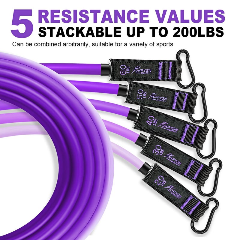HPYGN Exercise Bands with Handles, Home Workout Equipment for Strength, Flexibility, and Muscle Training, Physical Therapy, Shape Body, Yoga, Work Out Equipment for Home Gym - Image 2