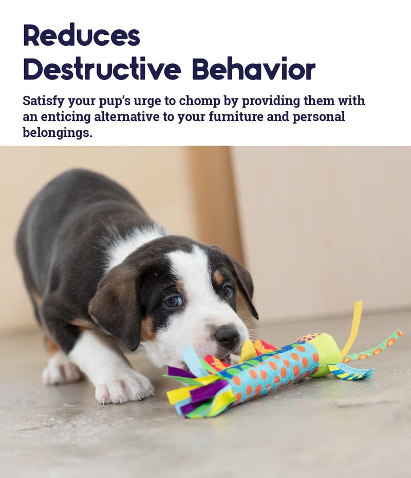 Petstages Cool Teething Stick for Dogs - Soothing Chew Toy for Teething Puppies - Freezable for Added Relief - Durable & Safe Dental Aid, Multicolor, One-Size - Image 4