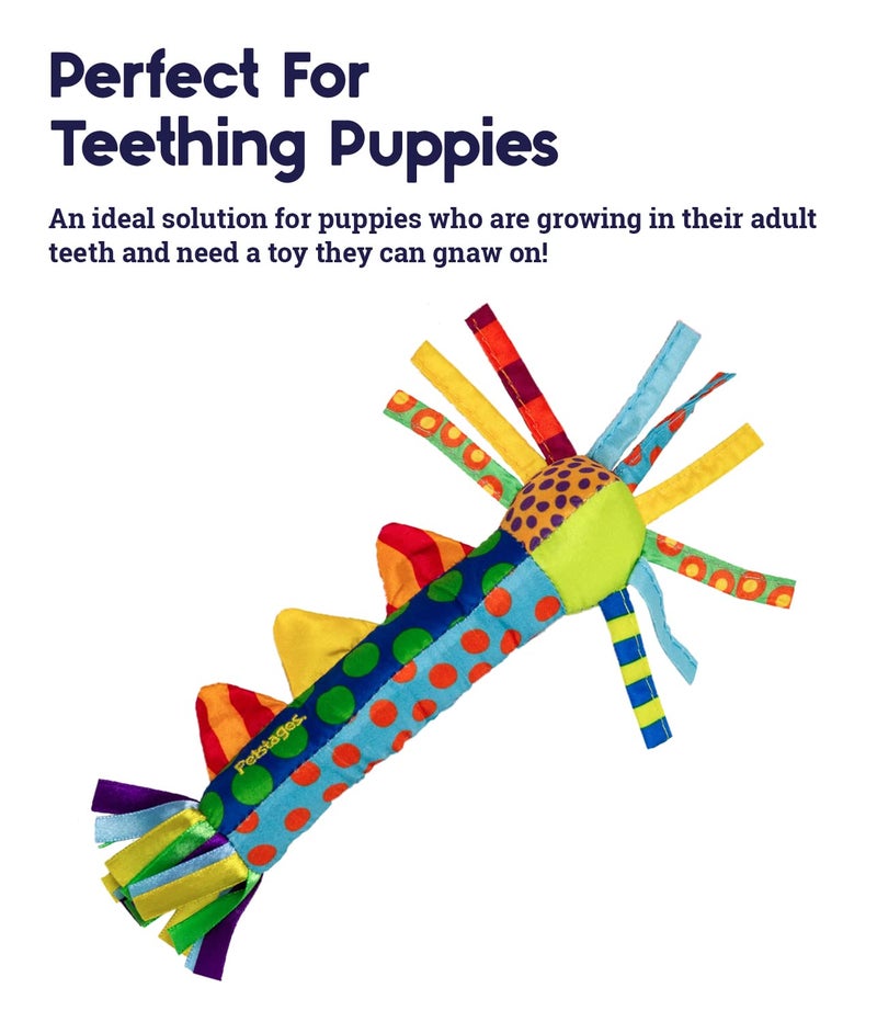 Petstages Cool Teething Stick for Dogs - Soothing Chew Toy for Teething Puppies - Freezable for Added Relief - Durable & Safe Dental Aid, Multicolor, One-Size - Image 2