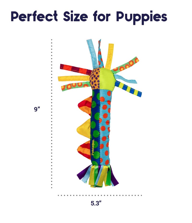 Petstages Cool Teething Stick for Dogs - Soothing Chew Toy for Teething Puppies - Freezable for Added Relief - Durable & Safe Dental Aid, Multicolor, One-Size - Image 5
