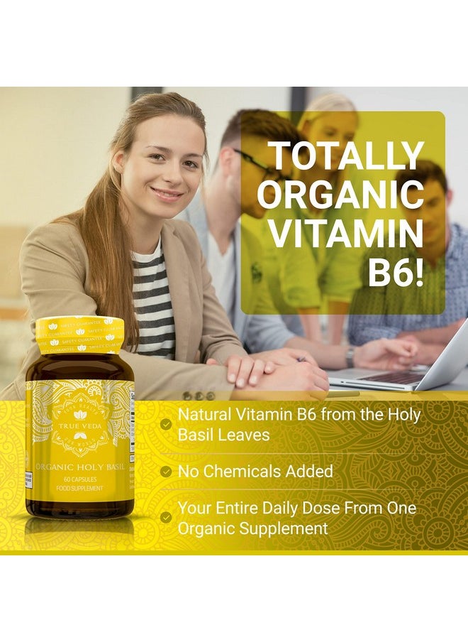 True Veda - Holy Basil Capsules Usda Organic Vitamin B6 Capsules ; High Strength Vitamin B6 And 2.5% Ursolic Acid ; Tulsi Holy Basil Leaf Capsules ; Holy Basil Extract 15:1 ; Herbal Supplement ; 60 Vegan Pills - Image 1