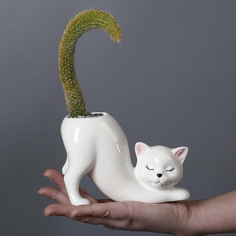 Picvelno Unique Tailless Cat Little Planter Pot, Cute Kitty Succulent Indoor Flower Pot, Animal Home Decor Plant Pot Holder, Novelty Ceramic Bonsai Flowerpot Ideal Gifts, Lovely Office Desk Room Home Decor - Image 1