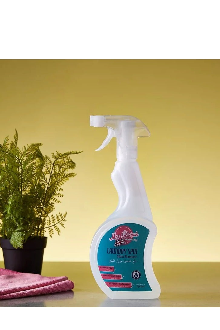 Home Box Mrs Gleams Laundry Spot Stain Remover - Image 1