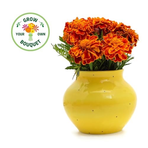 Back to the Roots Organic Marigold Flower Grow Kit with Plantable Starting Pot Soil and Seeds - Image 3