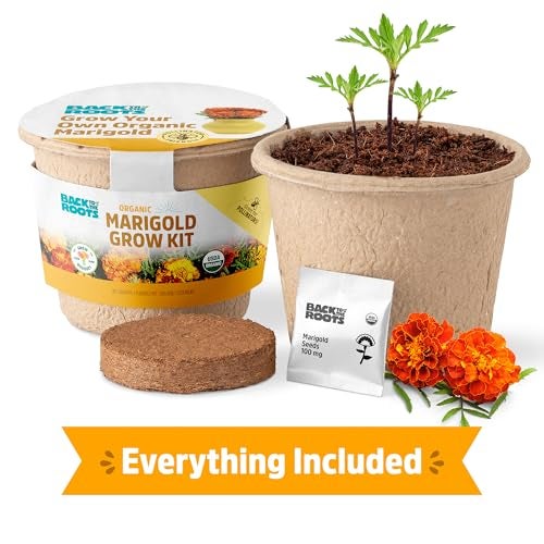 Back to the Roots Organic Marigold Flower Grow Kit with Plantable Starting Pot Soil and Seeds - Image 2