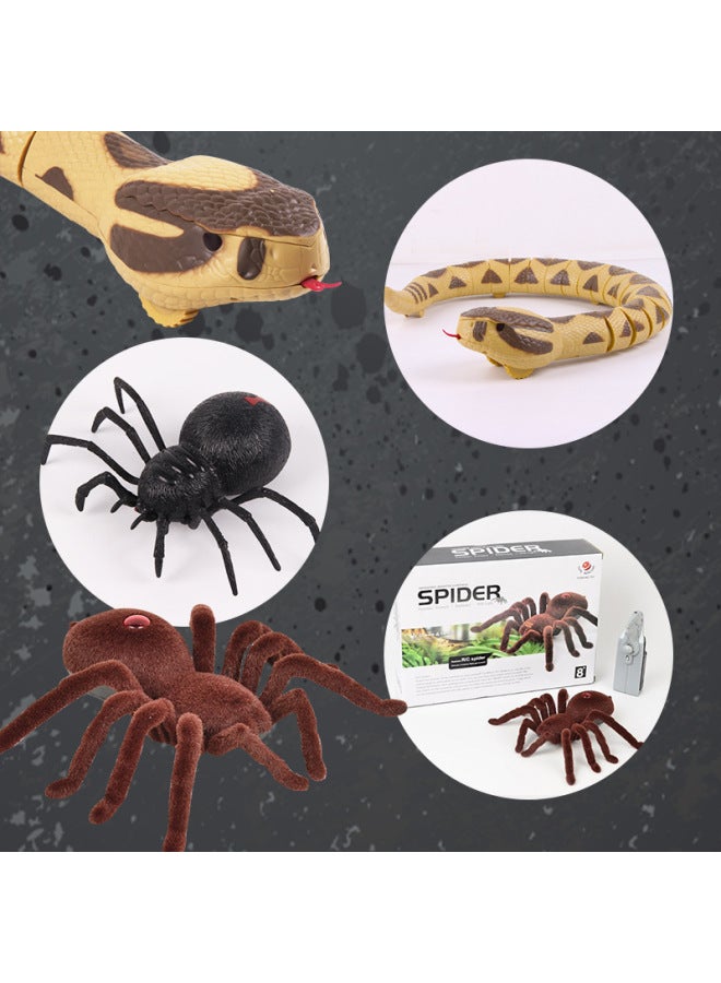 Simulation Remote Control Two-way Four-way Trick Spider Skeleton Tarantula Black Widow Mouse Rattlesnake Toy-Color:Four-way Remote Control Black Widow Spider-english 590g  - Image 5