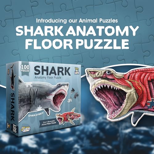 Genius Games Shark Animal Anatomy Floor Puzzle 100Piece Double Sided Jigsaw Puzzle Large Floor Puzzles for Kids Ages 48 35 810 Fun and Educational Toy for Kids Toddlers and Families - Image 5
