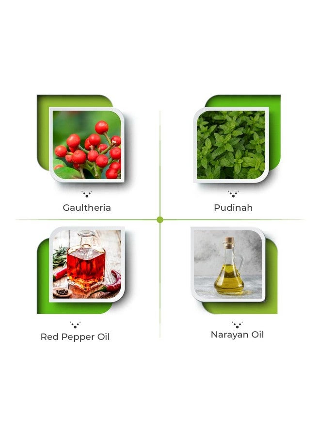 Vital Care Arthrum Pain Relief Oil for Mascular Pain, Low Back Pain, Joints Pain, Sports Injury, Sprain and Strain, Leg Cramps (100 ml, Pack of 3) - Image 2