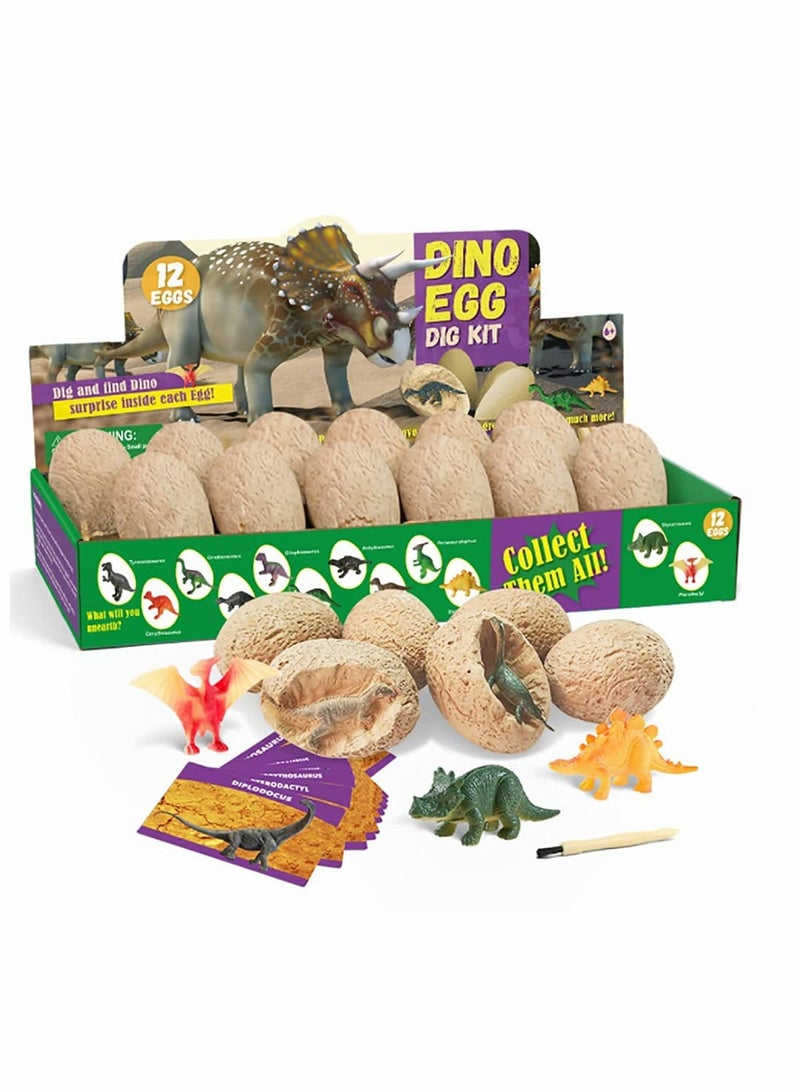 SYOSI Archaeological excavation toys 12 Different Fossil/Eggs with 12 Excavation Kits,Excavation Educational Science Gifts for Kids Party Archaeology Paleontology Toy (Dinosaur Eggs) - Image 1