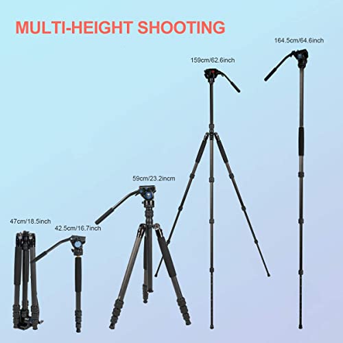 Sirui 2-in-1 Traveler Series Carbon Fiber Video Tripod with VA-5 Fluid Head for Cameras, Monopod Conversion, 30.9lbs Load Capacity, 62.6Inch, 360°Panning Base, 1/4" and 3/8" Screws (Carbon Fiber VC) - Image 2