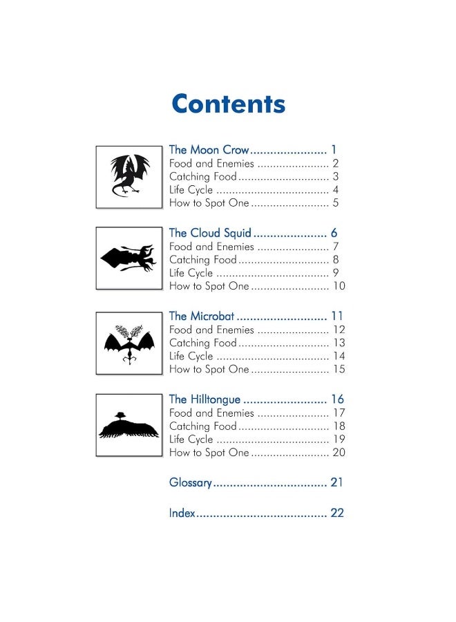 KS2 Monsters from the Sky Reading Book - Image 2