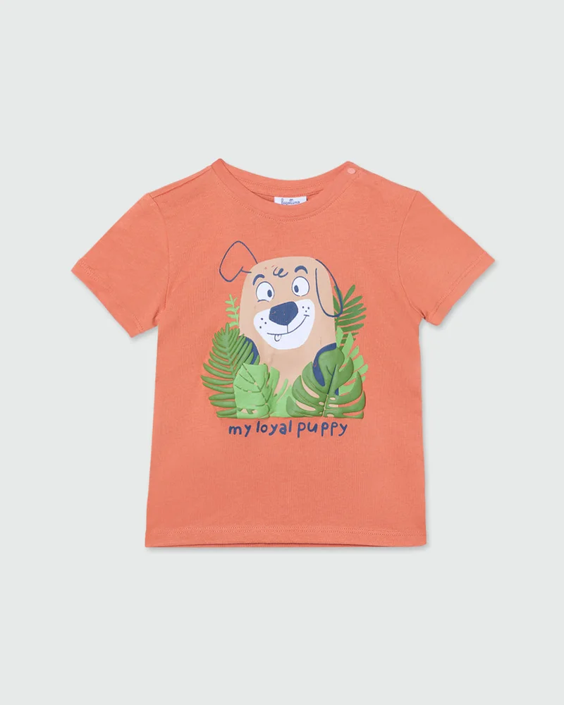 Ovs Orange