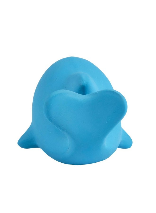 Tikiri Toys Ocean Buddies Dolphin Natural Rubber Rattle (Blue) - Image 3