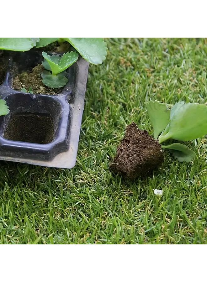 10 قطع صواني شتلات بولي بروبيلين 128 فتحة، قابلة لإعادة الاستخدام، متينة ومقاومة للشمس - Image 3