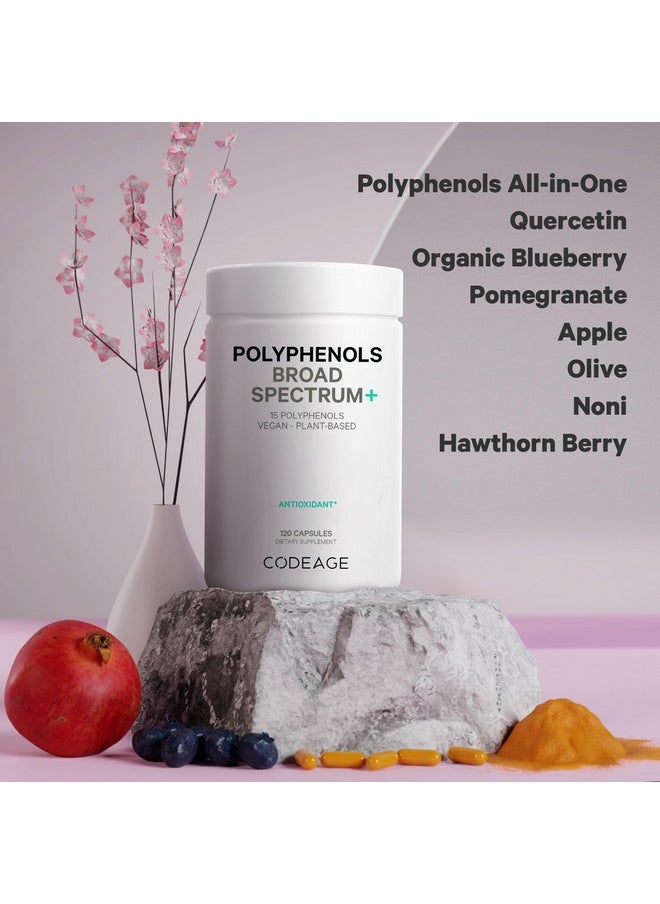 Codeage Codeage Polyphenols Broad Spectrum Supplement - Blend of 15 Berries, Fruits, and Botanical Extracts, Decaf Green Tea Leaf, Quercetin, Resveratrol, Pomegranate, Turmeric - Non-GMO - 120 Capsules  - Image 3