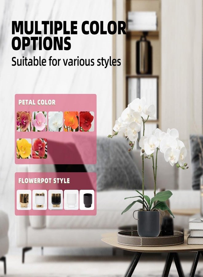 CXGS Orchids Artificial Flowers Real Touch Fake Flowers in Ceramic Pot 20" White Faux Orchid Plant Lifelike Silk Phalaenopsis for Centerpiece Hotel Home Indoor Decor - Image 3