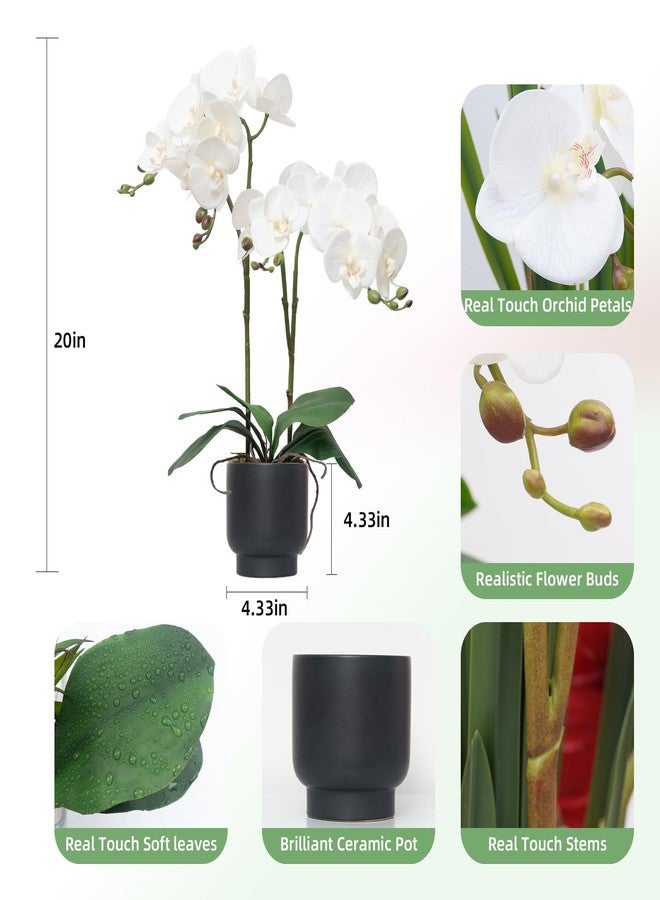 CXGS Orchids Artificial Flowers Real Touch Fake Flowers in Ceramic Pot 20" White Faux Orchid Plant Lifelike Silk Phalaenopsis for Centerpiece Hotel Home Indoor Decor - Image 2