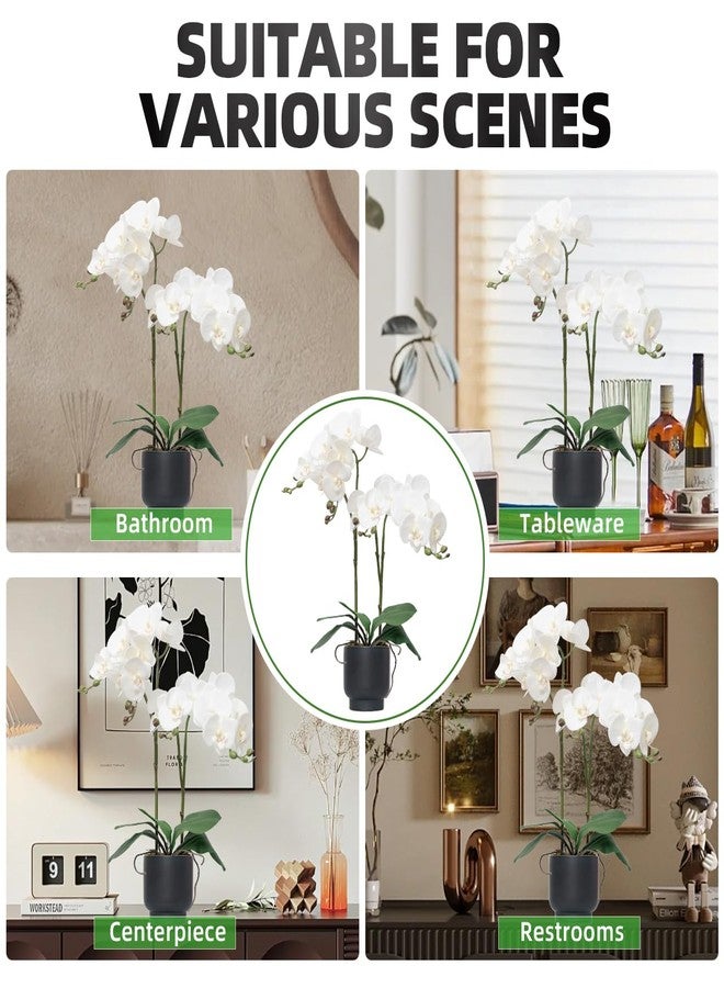 CXGS Orchids Artificial Flowers Real Touch Fake Flowers in Ceramic Pot 20" White Faux Orchid Plant Lifelike Silk Phalaenopsis for Centerpiece Hotel Home Indoor Decor - Image 5