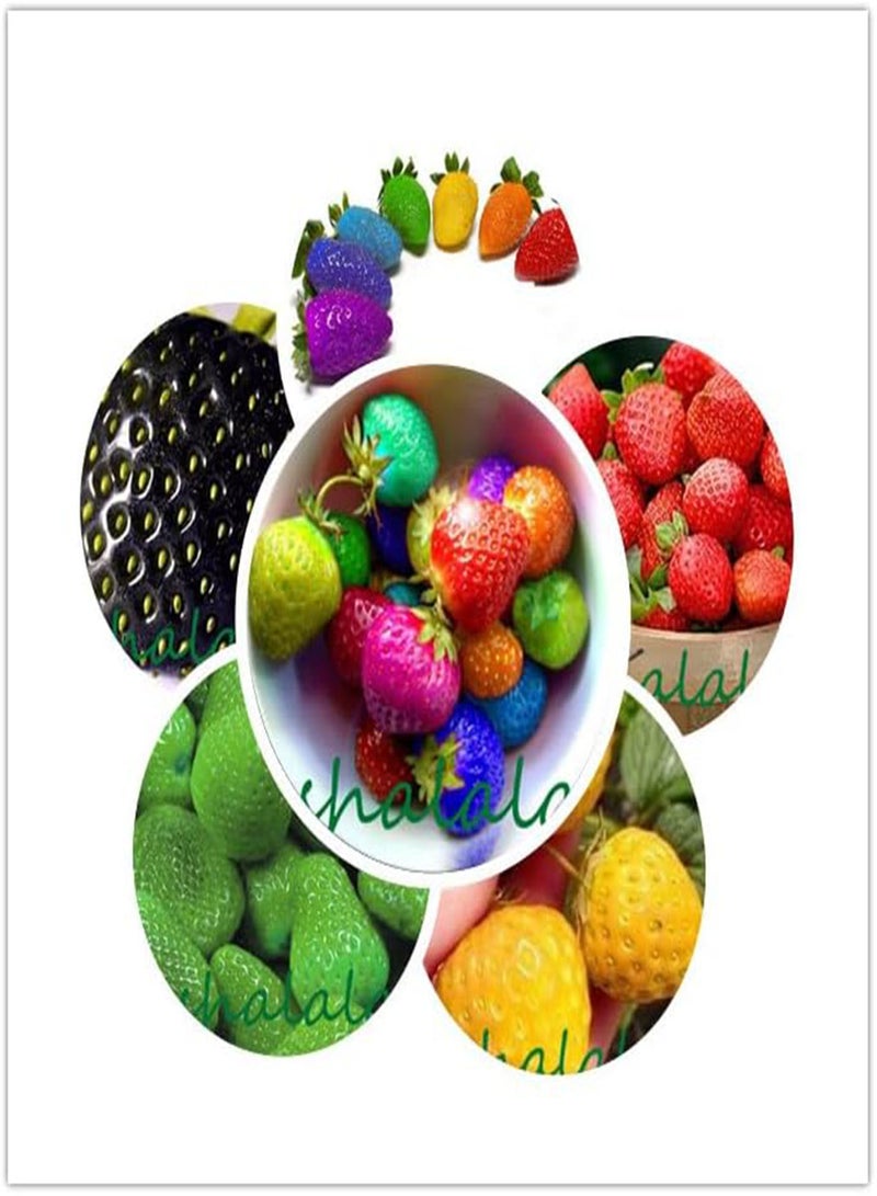 GGOOT Strawberry Seed,Climbing Strawberry Plant,Sweet Multi Color Strawberry,Organic Fruit Plant,for Home Garden,200pcs/bag - (Color: 5) - Image 2