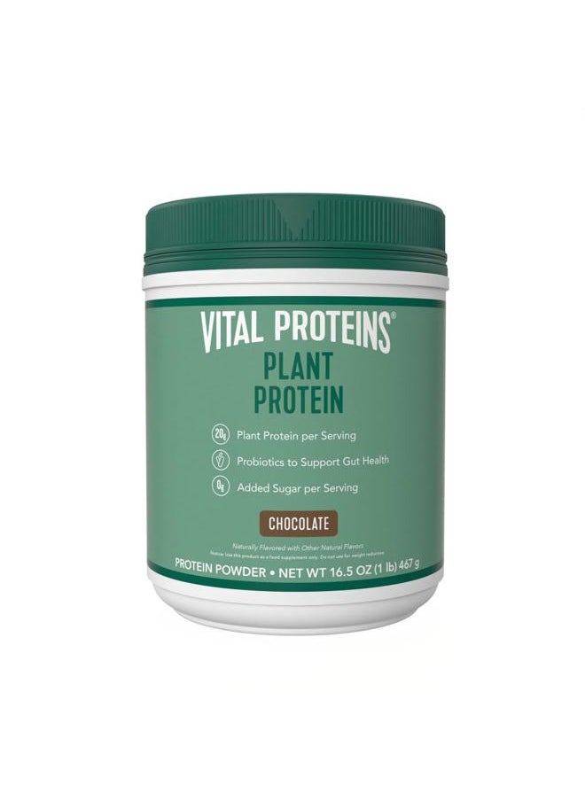 Vital Proteins Protein Powder – 20g Plant Based Protein with Chickpea – 1B CFU Probiotic for Gut Health, No Added Sugar – Chocolate, 16.5 oz  - Image 1