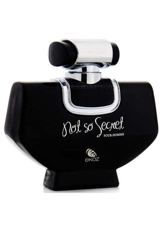 Afnan - Not So Secret Homme 90ml Edp - Image 1