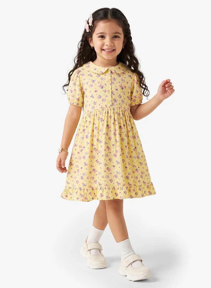 Pinata COLLAR DRESS