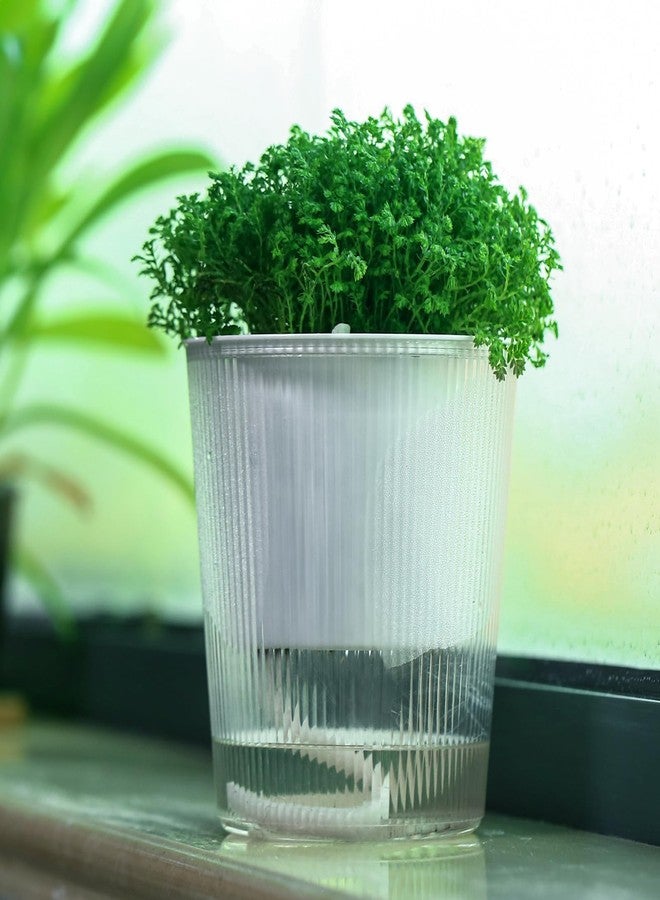 Planterhoma 10-Pack 4.5” Clear Self-Watering Pots for Indoor Plants Medium Orchid Flower Pot Plastic Wick Planters for African Violet, Home Decor Pot - Image 2