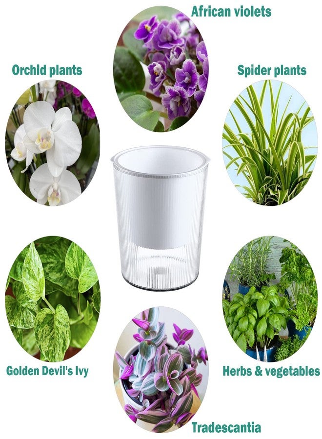 Planterhoma 10-Pack 4.5” Clear Self-Watering Pots for Indoor Plants Medium Orchid Flower Pot Plastic Wick Planters for African Violet, Home Decor Pot - Image 5