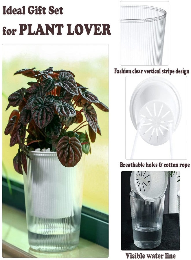 Planterhoma 10-Pack 4.5” Clear Self-Watering Pots for Indoor Plants Medium Orchid Flower Pot Plastic Wick Planters for African Violet, Home Decor Pot - Image 4