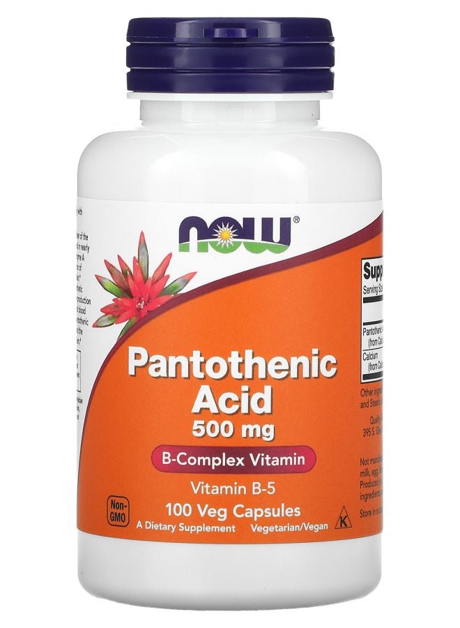 now Pantothenic Acid 500 mg 100 Veg Capsules