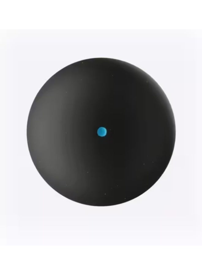 بيرفلاي كرات الاسكواش بلو دوت (عبوة من قطعتين) - ارتداد متوسط، هيكل مطاطي طويل الأمد - مثالية للمبتدئين واللاعبين الترفيهيين - عبوة من قطعتين  - Image 2